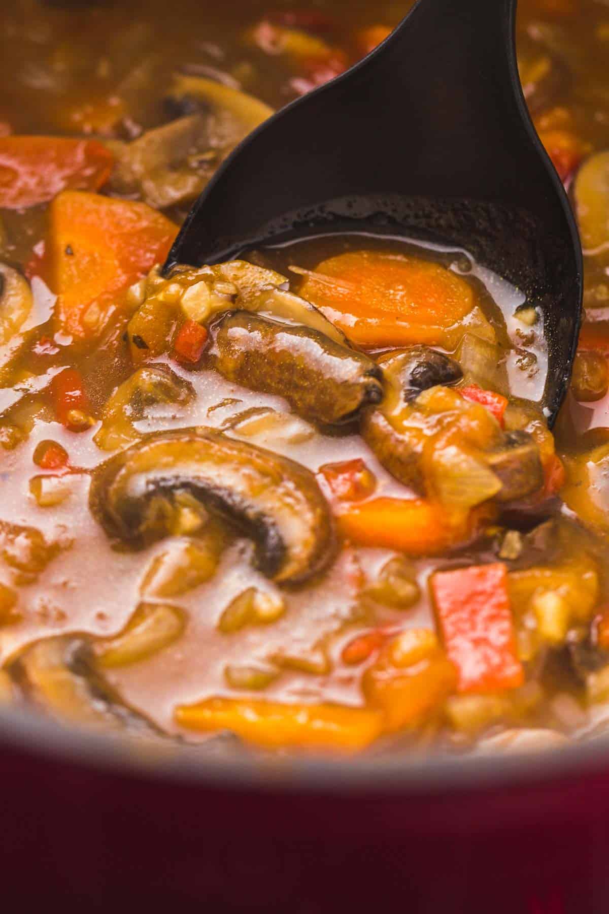Mushroom's Stew thick texture