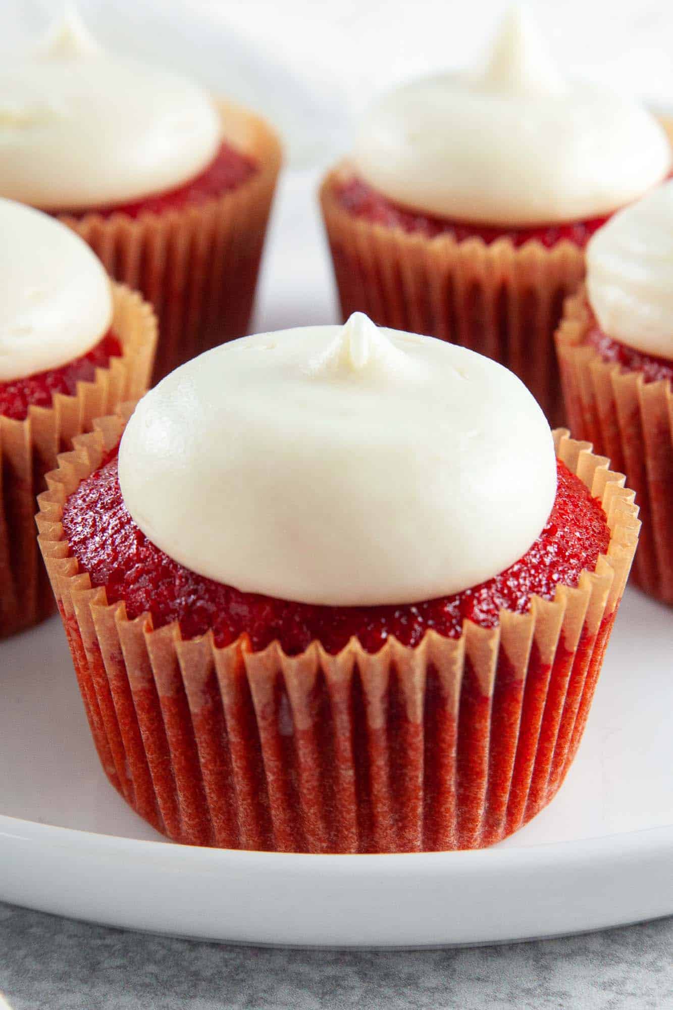 A close up of red velvet cupcakes with perfect cream cheese frosting