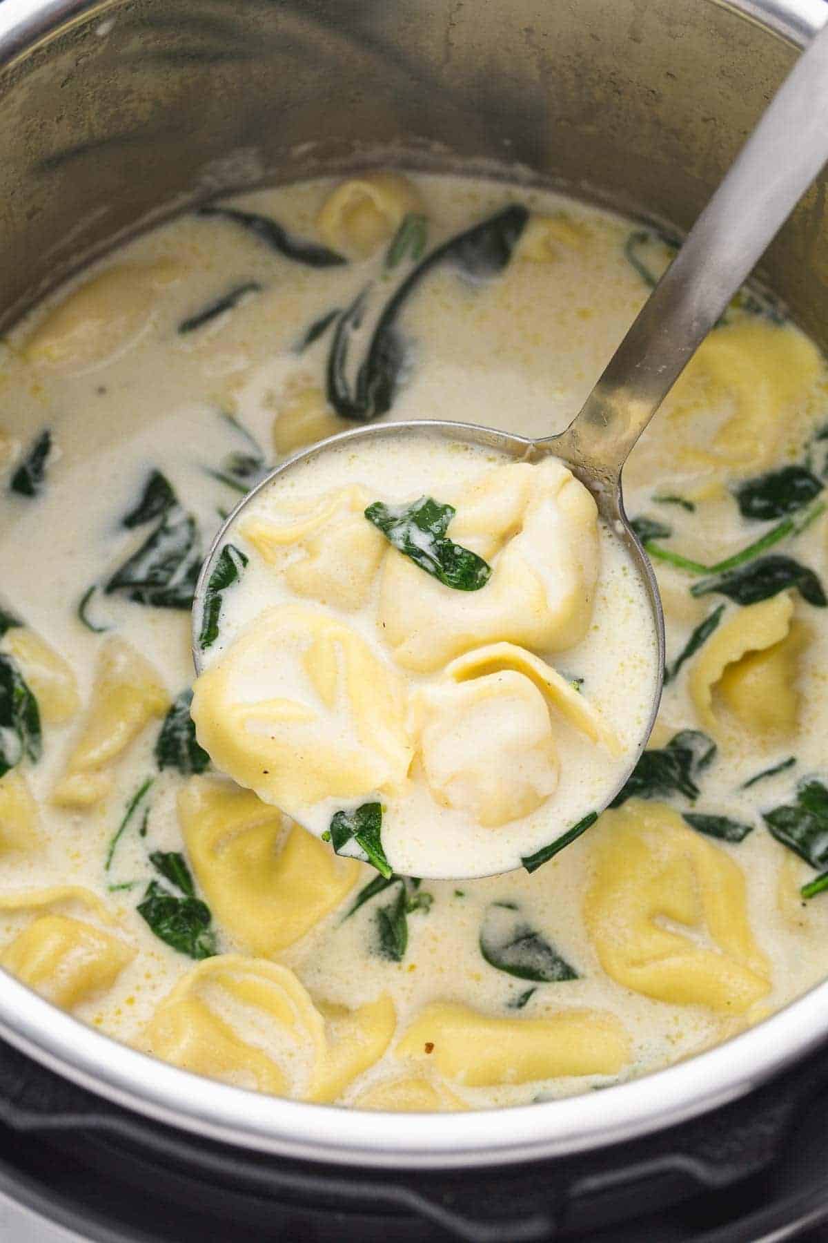 A ladle with chicken alfredo tortellini soup and spinach