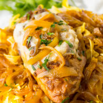 French onion chicken with caramelized onions, served over egg noodles.
